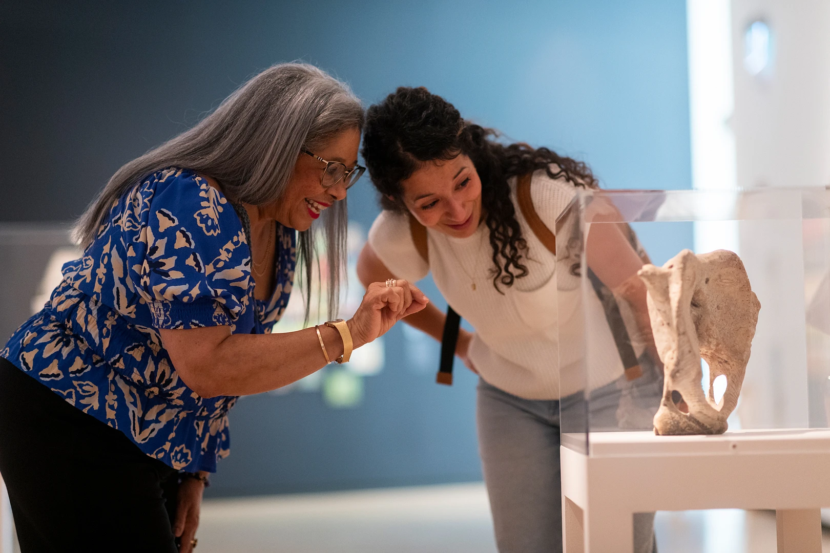 Des membres visitant les expositions du pavillon Pierre Lassonde // Photo : MNBAQ, David Cannon