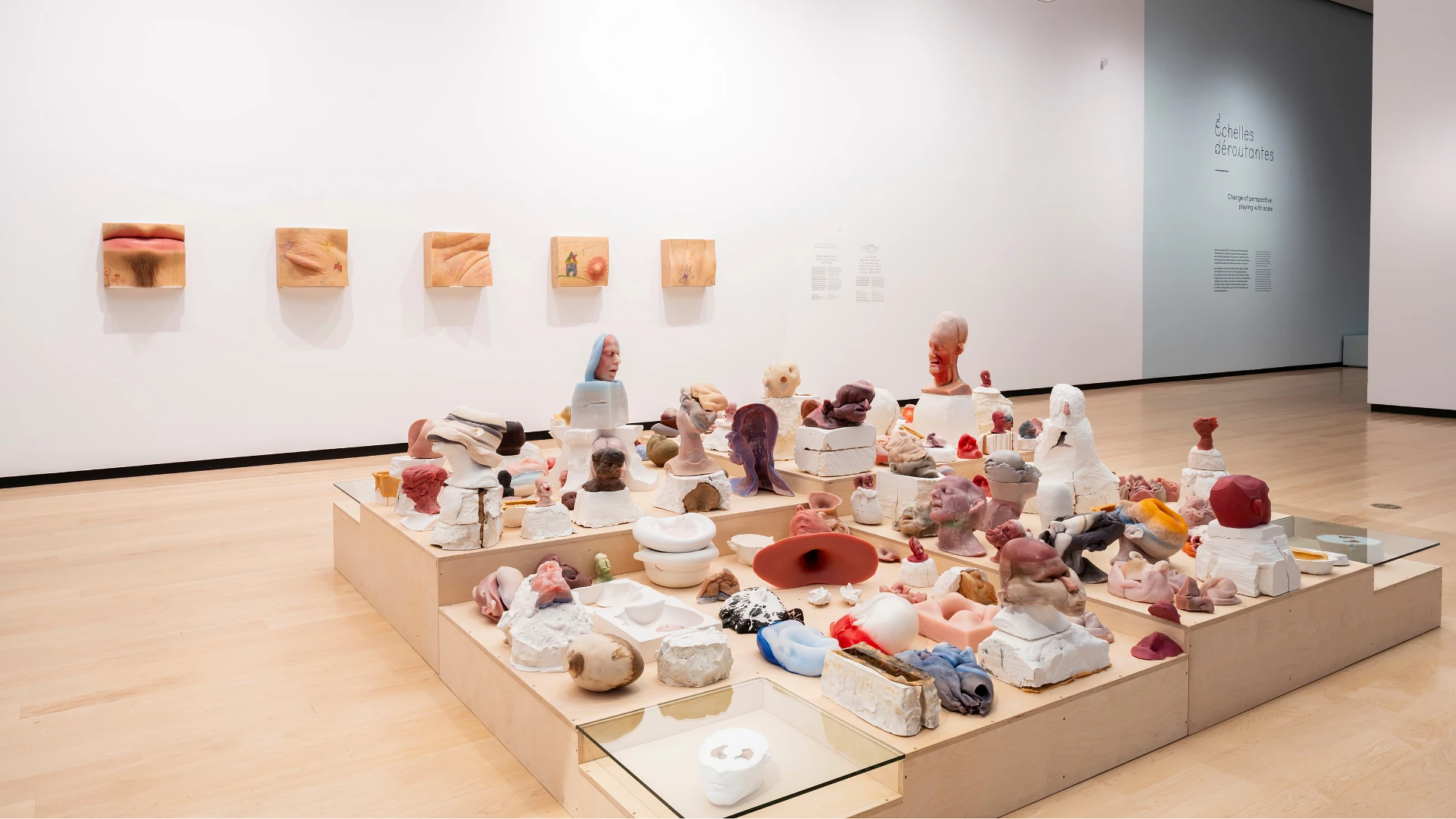 Photo en salle de l'oeuvre de Louis Fortier