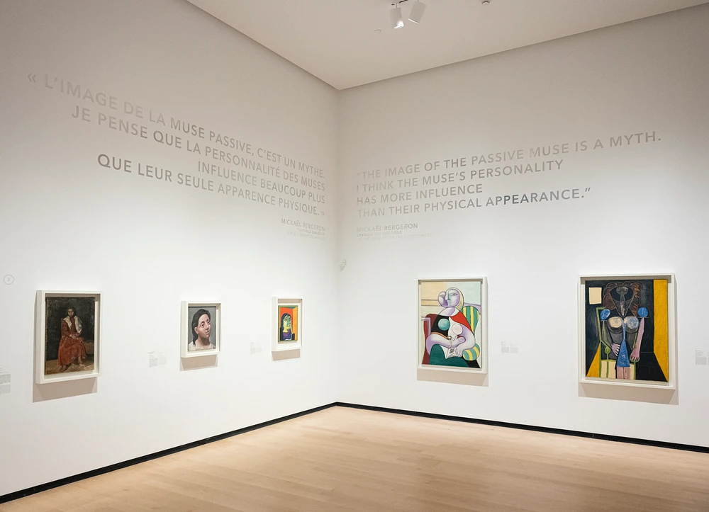 Picasso Figures