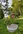 A Blanchette 2022 08 06 46 A6463 600x900