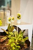 IMG 7505