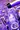 Les Festifs com Sortir Quebec Musse des Beaux Arts 20171231 93