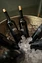 Fmnbaq art vin 2017 audetphoto 27 600x900