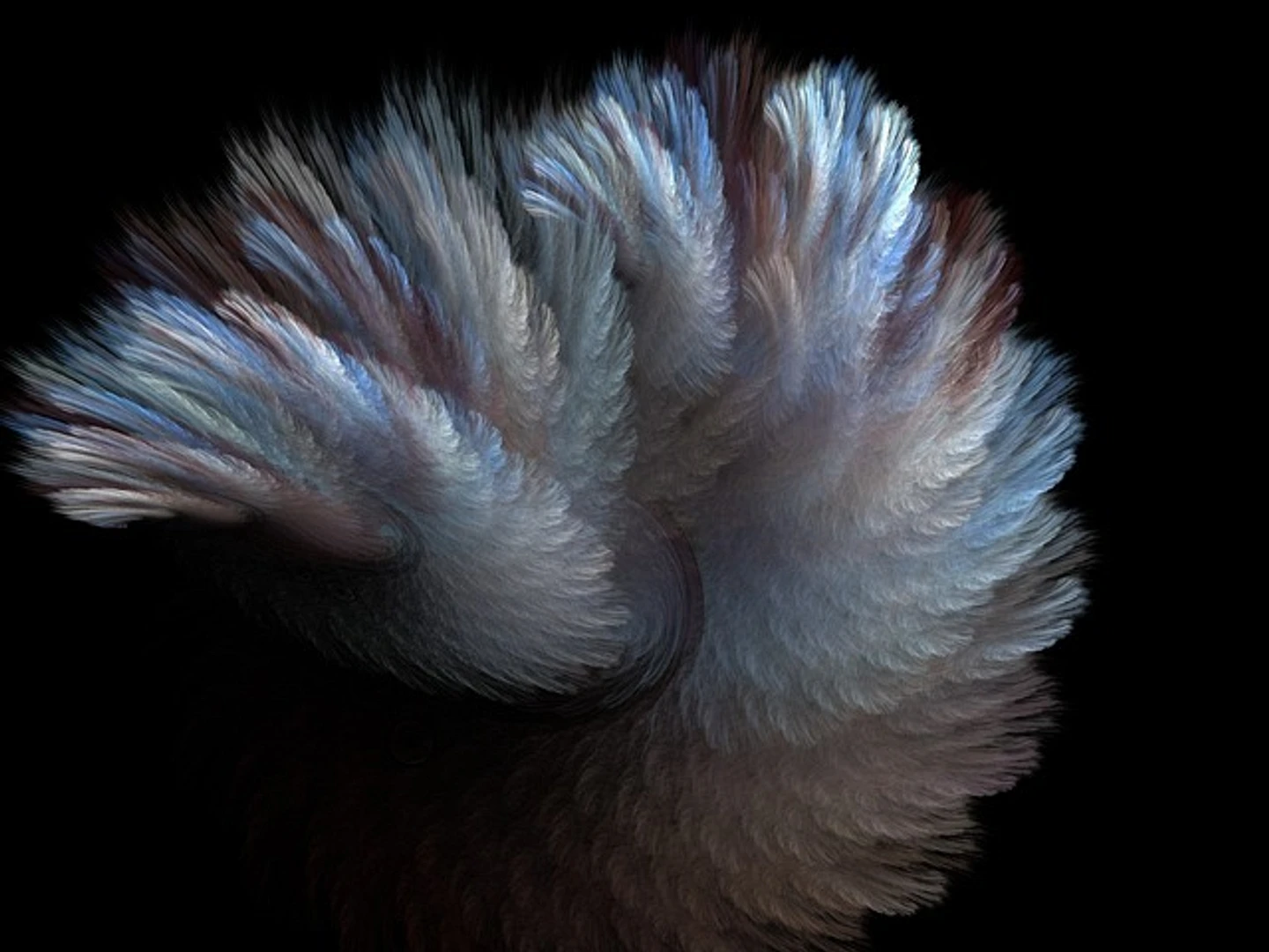 Fur 18943 640