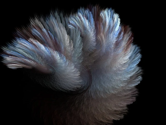 Fur 18943 640