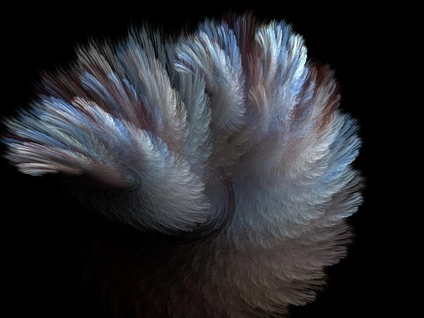 Fur 18943 640