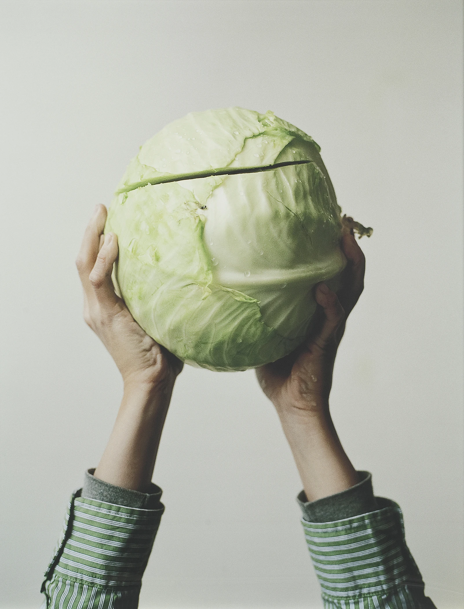 Wang, Chih-Chien  

Cabbage Cut, 2007  

Épreuve numérique imprimée au jet d’encre, 1/7  

127 x 101 cm  

Collection du Musée national des beaux-arts du Québec  

(CP.2009.44)  

© Chih-Chien Wang  

Photographe : © MNBAQ 