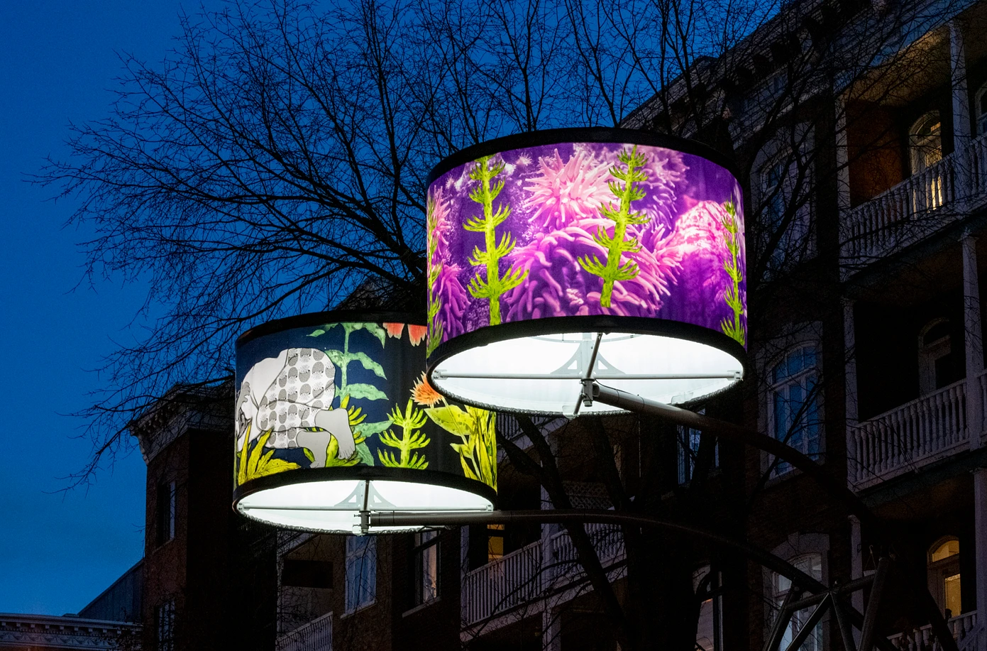 Les cueilleurs de lueurs // Photo : Denis Legendre