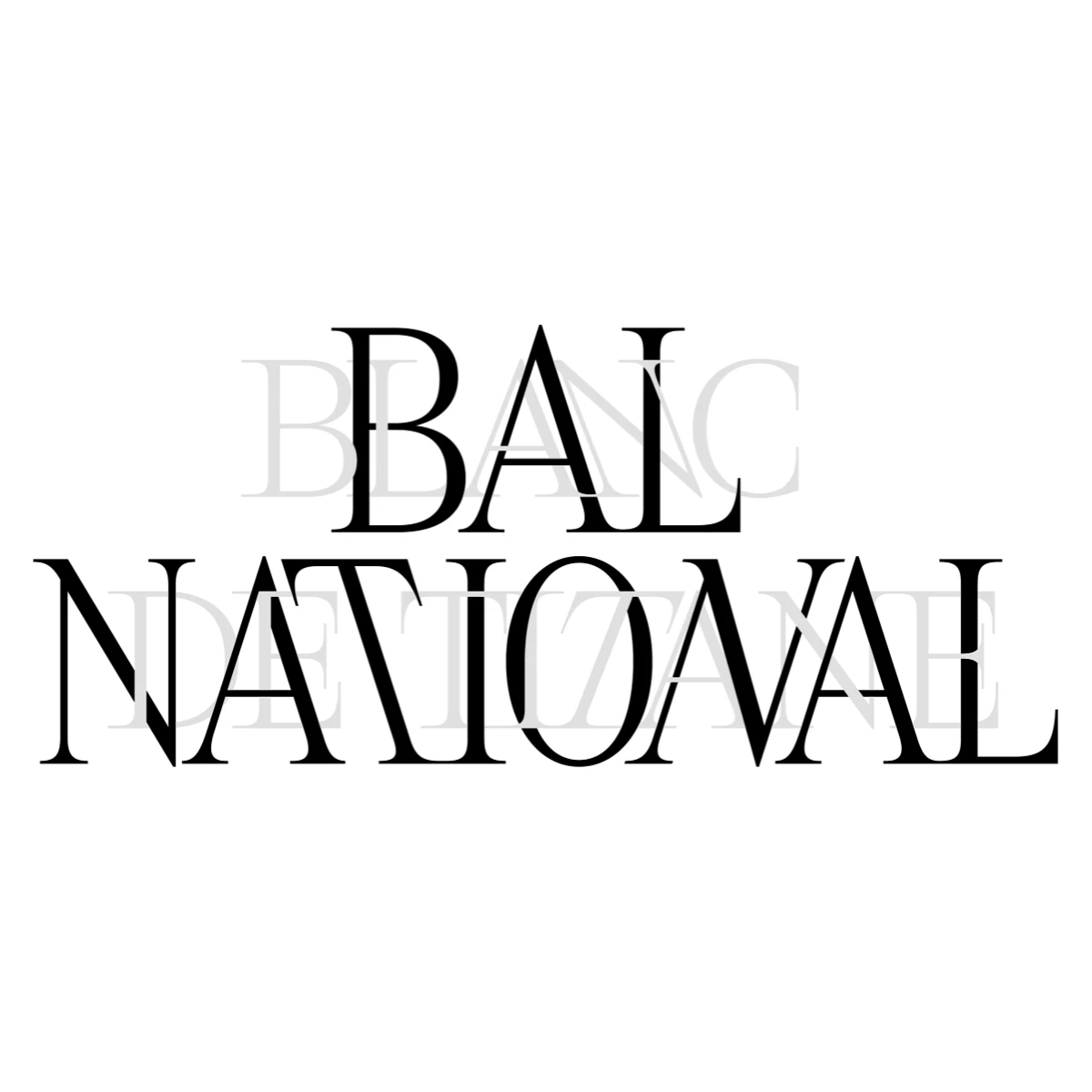 Site Web Vignette 600x600 Bal national centre