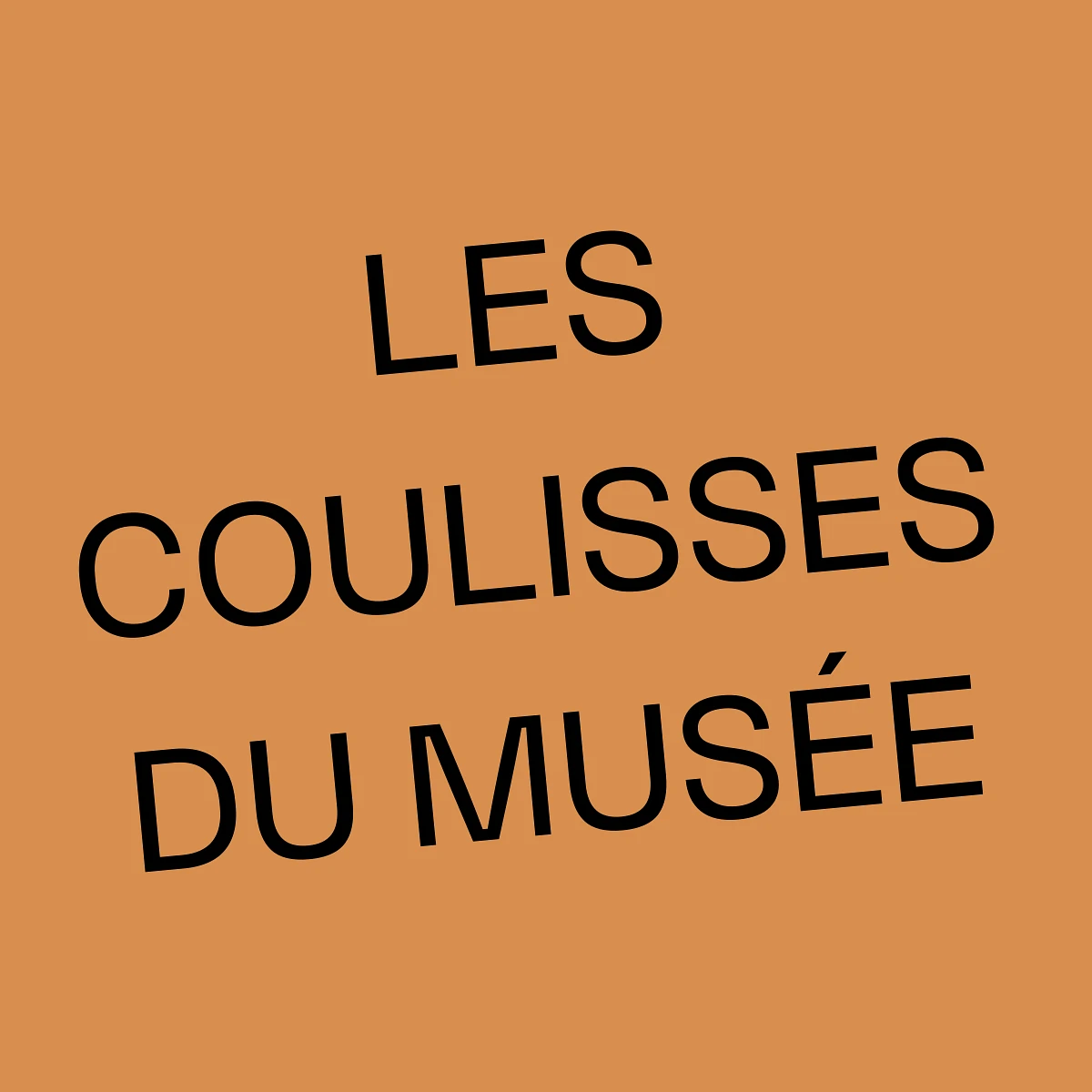 Site Web Vignette 600x600 Les coulisses du Musee