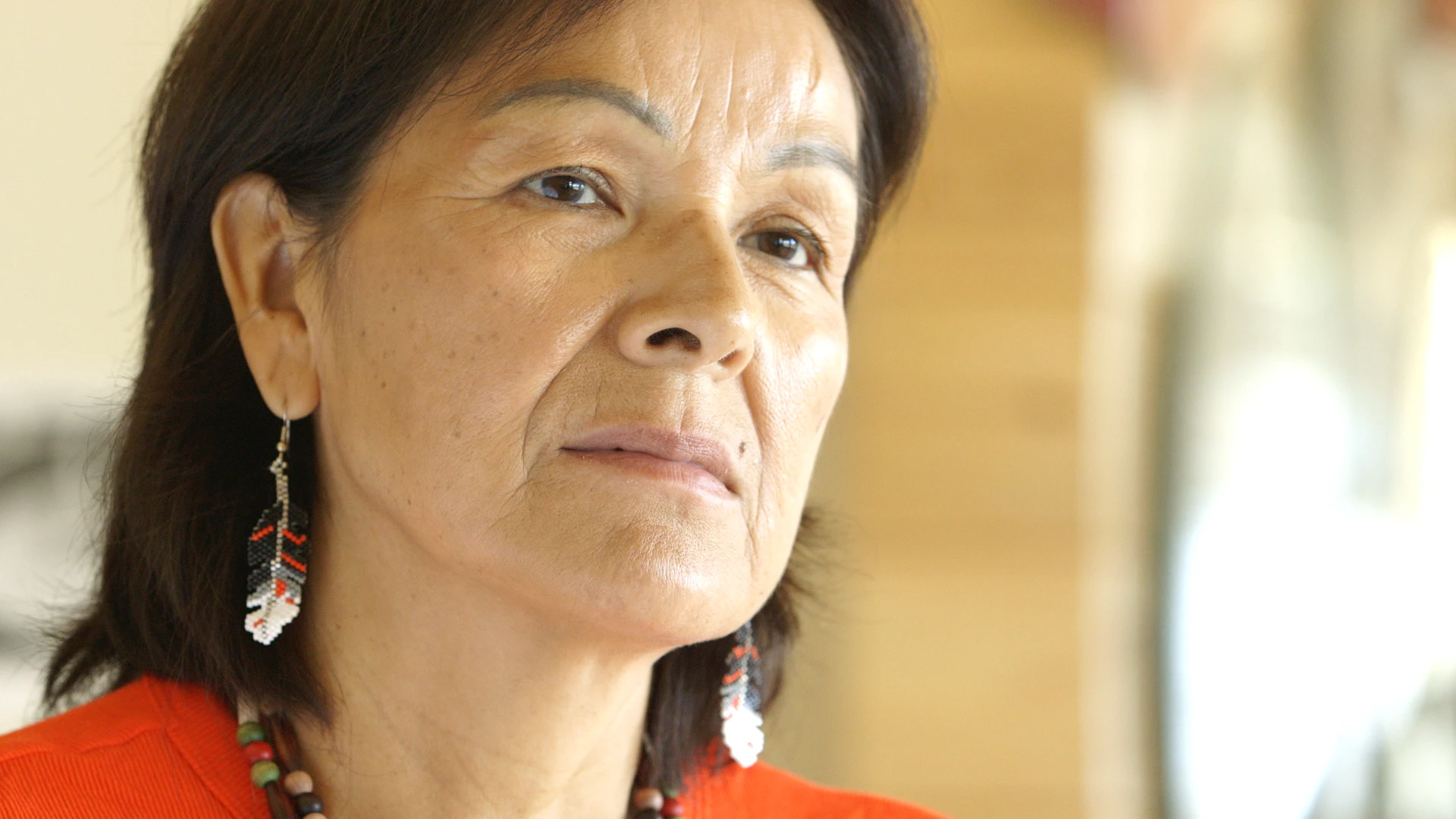 13 MESTOKOSHO Still 05