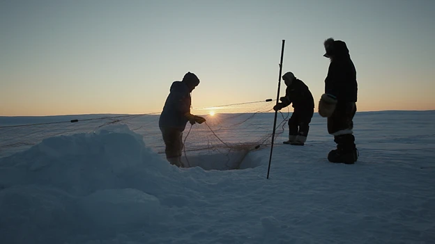 FCVQ Focus Nunavut