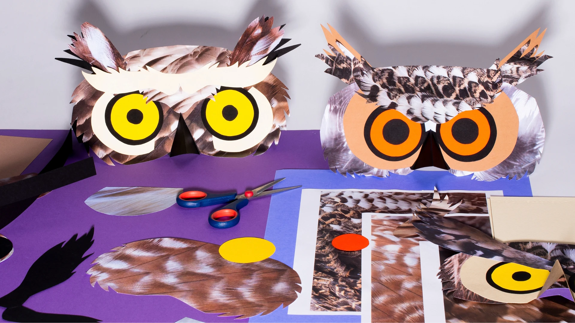 Owl Prototype