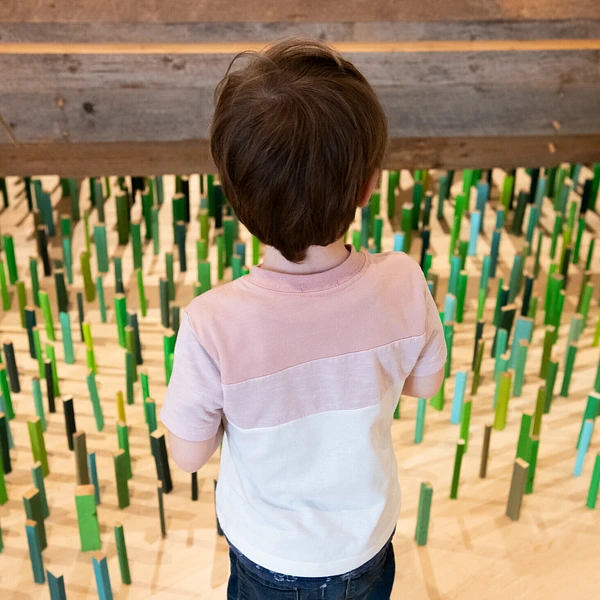 BGL, Lost in Nature (The Car) (detail), 1998 (2000.356) ©bgl // Photo : MNBAQ, David Cannon