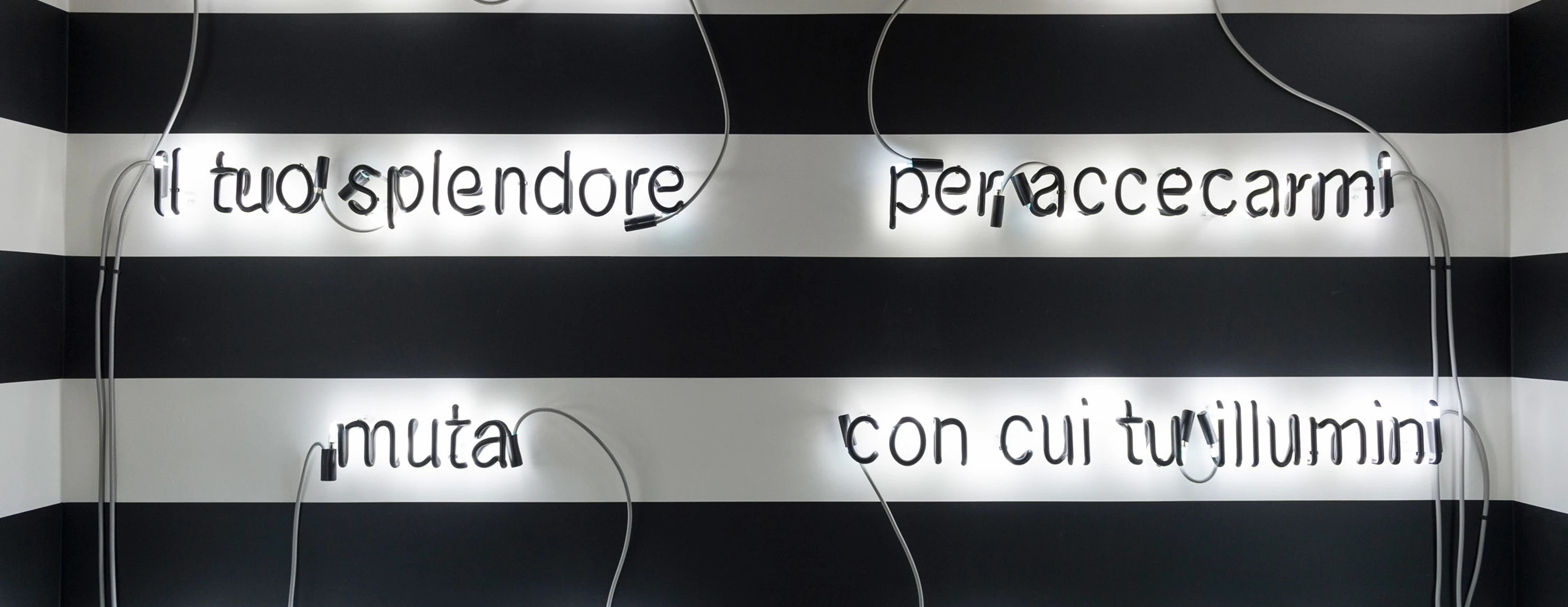 F8862efd199d702a42d0180e5fe806a9 v10