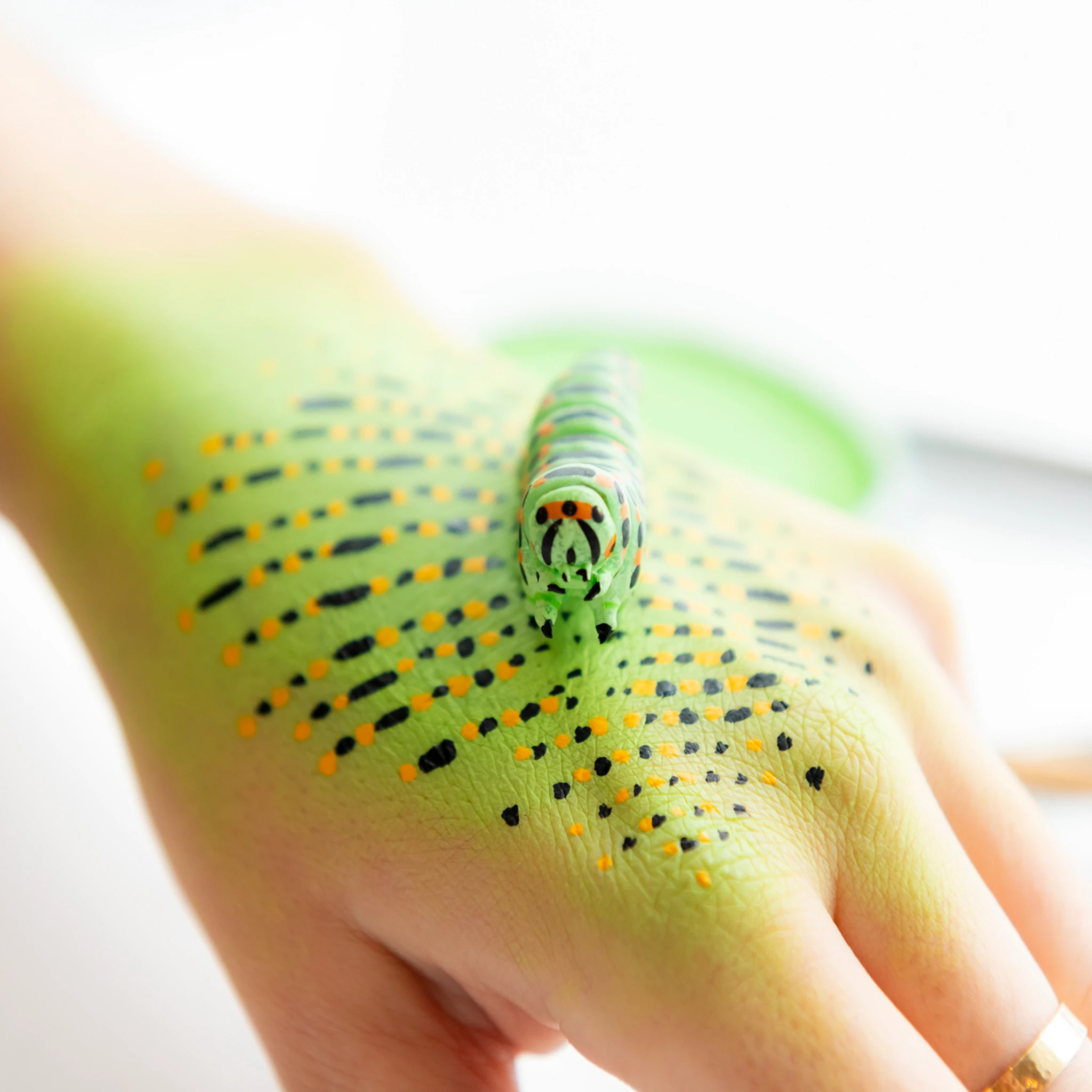 Atelier Mimétisme signé Karine Payette au Musée - Chenille