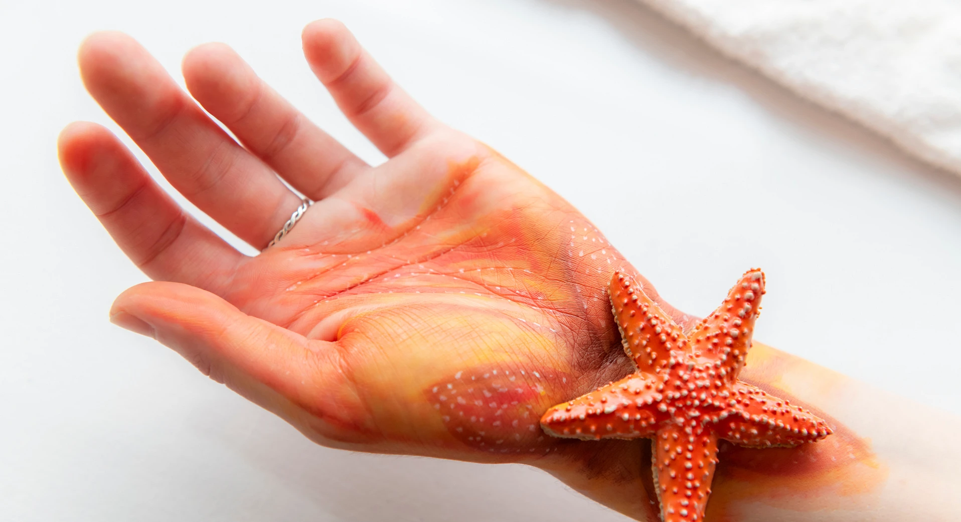 Atelier Mimétisme signe Karine Payette au Musée - Étoile de mer