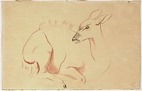 1940 216 in1