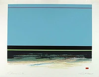 1974 119 in1