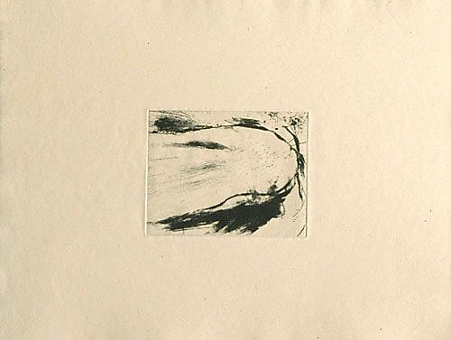 1992 190 21 in1