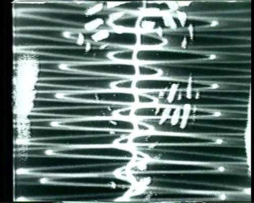 2003 244 in1