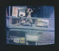 2003 249 in1