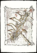 2003 296 11 in1