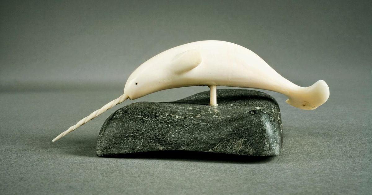 Narval | Musée national des beaux-arts du Québec - MNBAQ