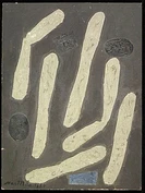 2005 2547 in1