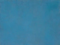2006 45 in1