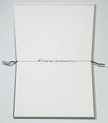 2006 476 in1