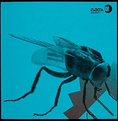2006 615 01 in1