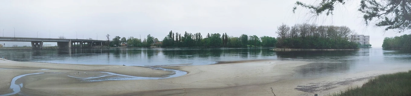 2006 207 in1