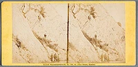2006 2187 in1