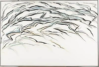 2007 216 in1
