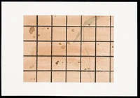 2007 317 in1