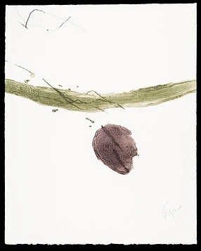 2007 37 12 in1