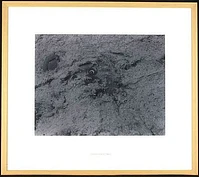 2008 194 in1