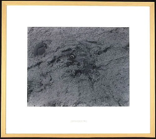 2008 194 in1