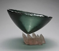 2009 251 in1