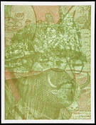 2009 258 10 in1
