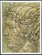 2009 258 11 in1