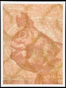 2009 258 20 in1