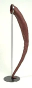 2010 66 in1