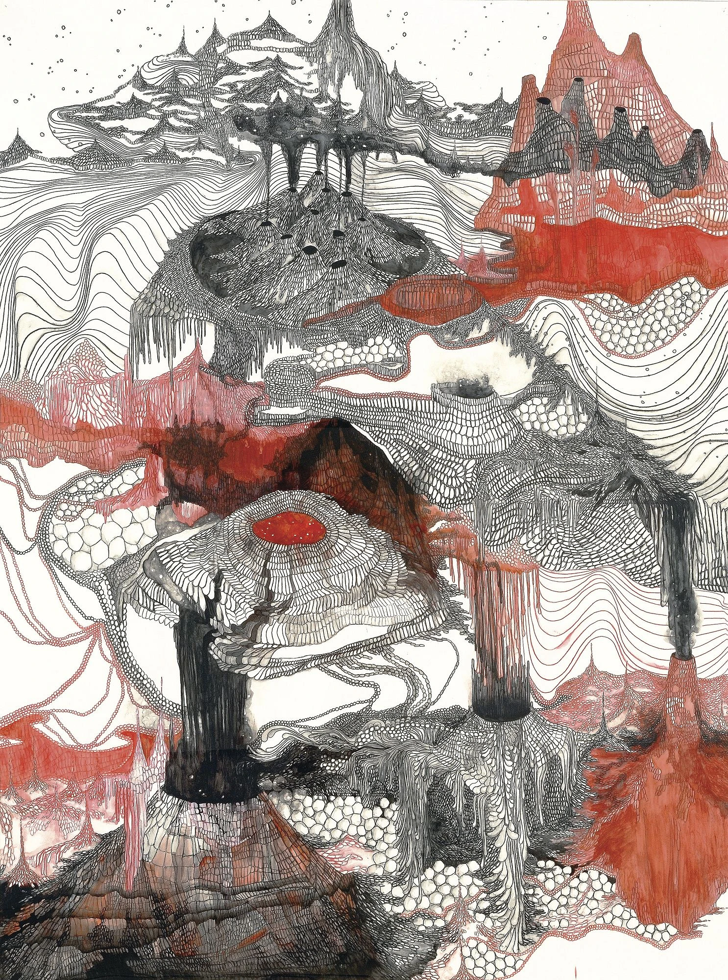 2010 80 in1