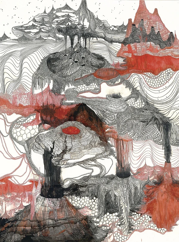 2010 80 in1