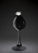 2011 54 in1