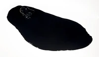 2012 68 in1
