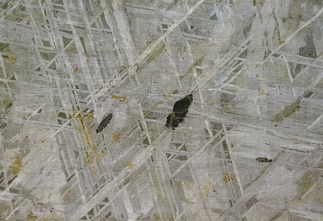 2015 44 in1