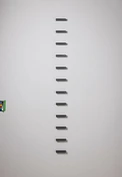 2017 80 in1
